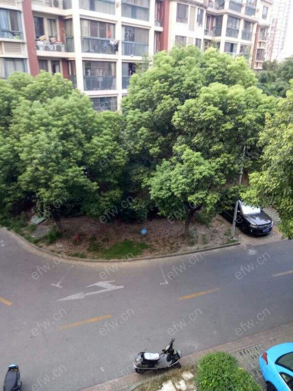 仁和英伦皇家花园(仁和花园) 3室2厅