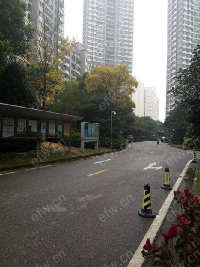 清扬康臣 经典3房 东边户 全明 精装修！