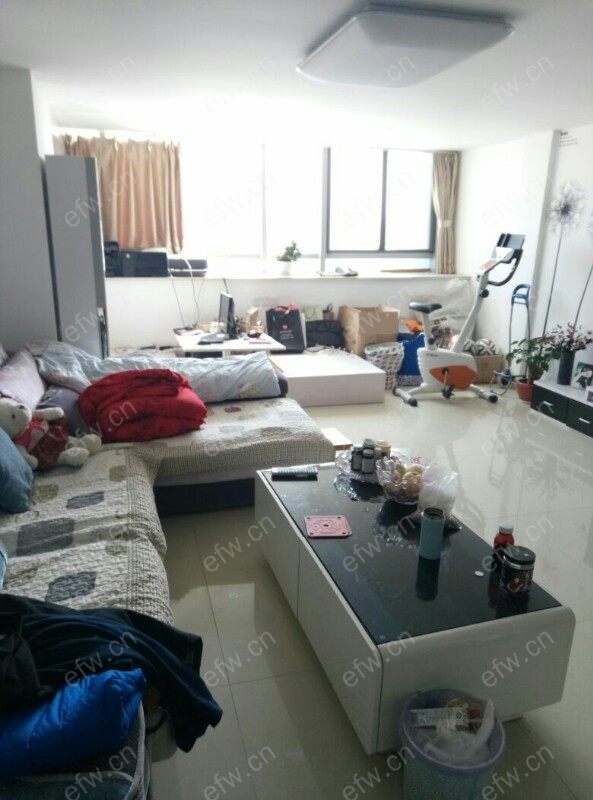 嘉饰茂 2室2厅