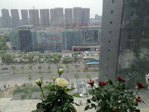 东鹏置业(创富商务广场) 1室0厅