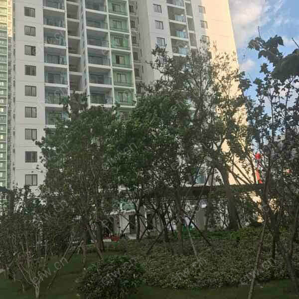 阳光100国际新城 1室1厅