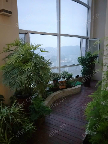 天鹅湖花园A区 5室3厅
