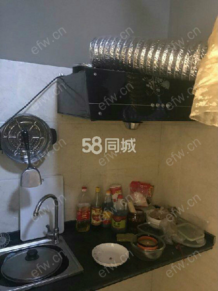 世茂首府（天域景园） 1室1厅