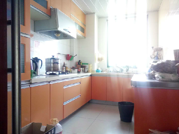 格林春天野花园
