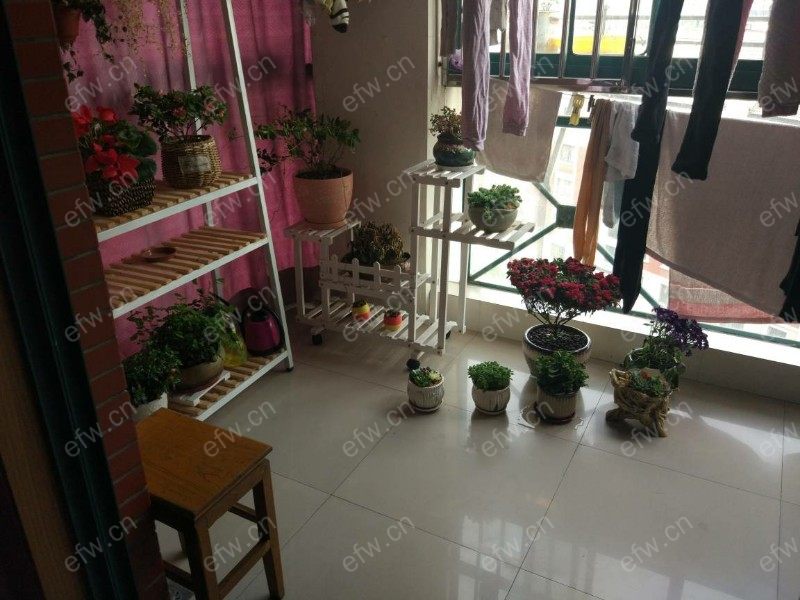 东城花园 3室1厅