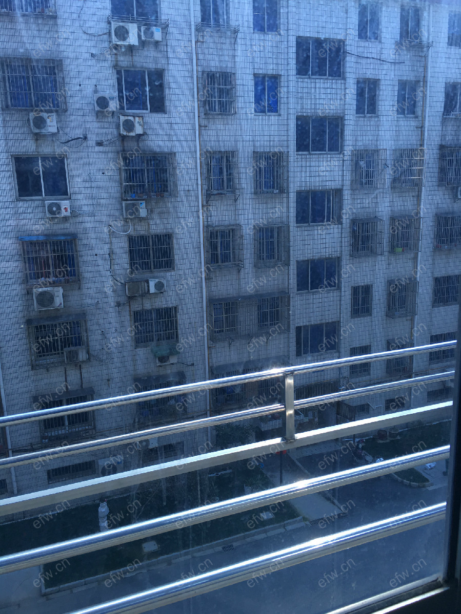 景溪苑 3室2厅