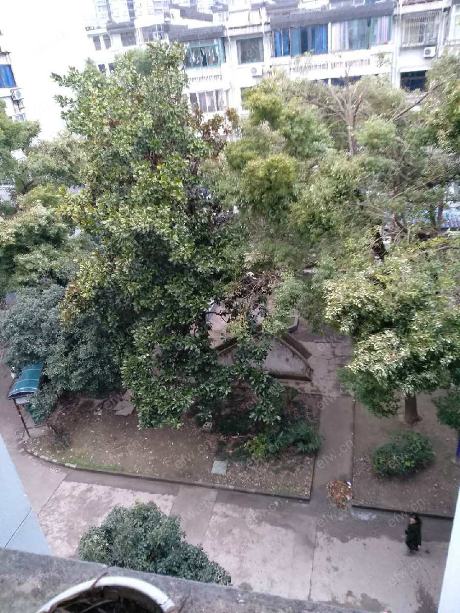 沁园新村 2室1厅