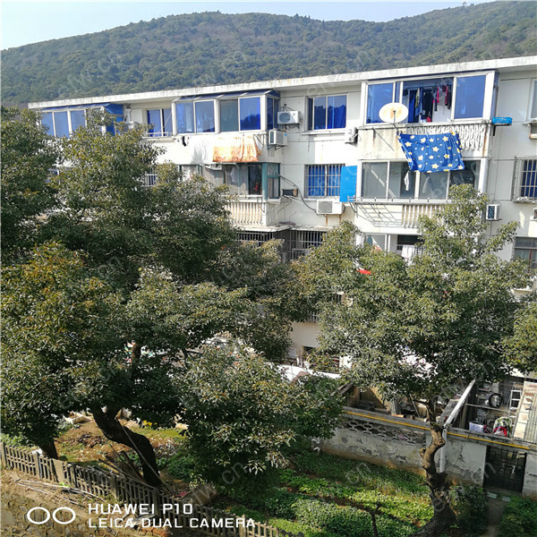 华晶新村 2室1厅