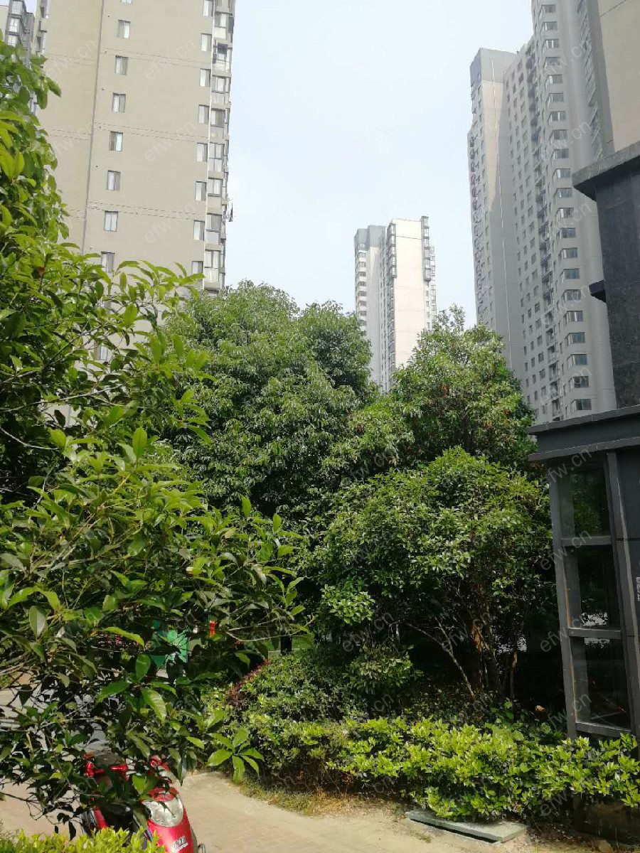 清扬御庭 2室1厅