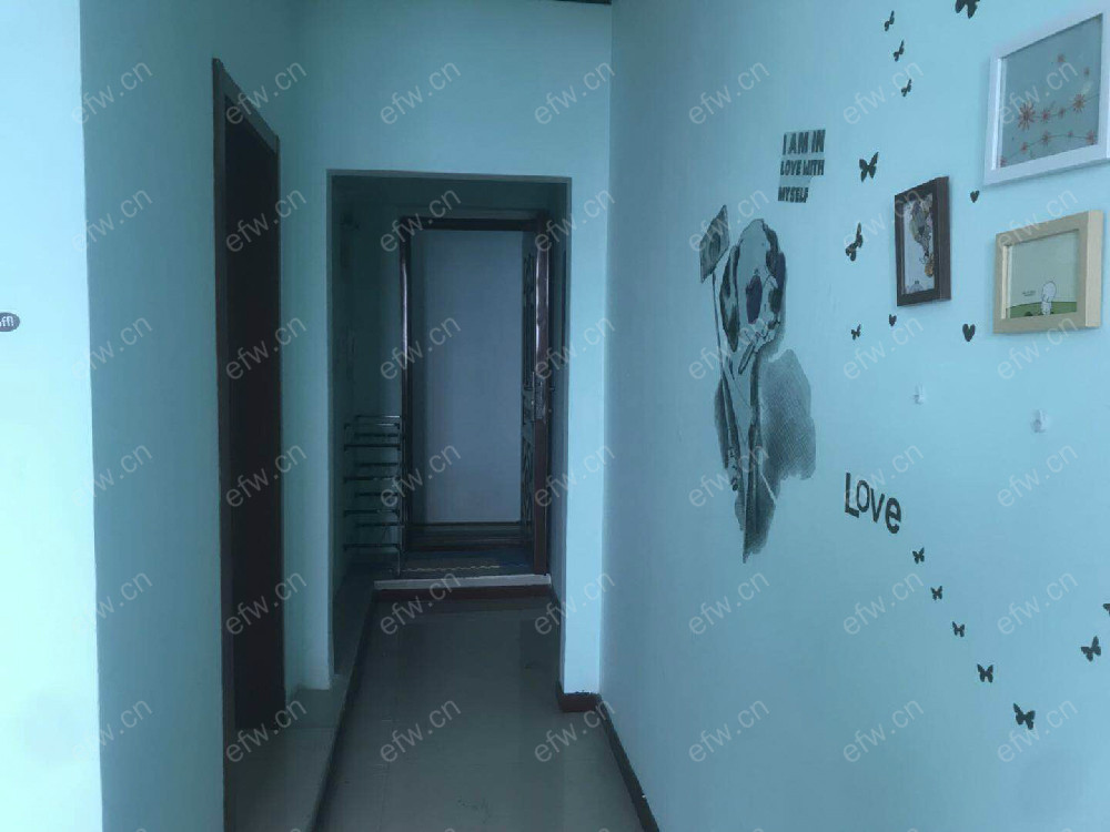 金星苑 1室1厅  随时看房