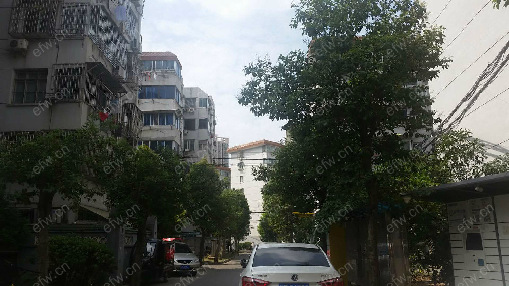 金海里 1室1厅