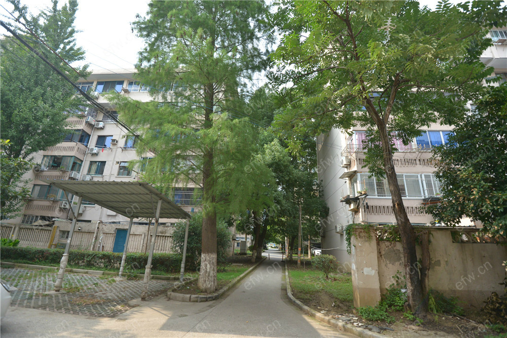 水秀新村 3室1厅