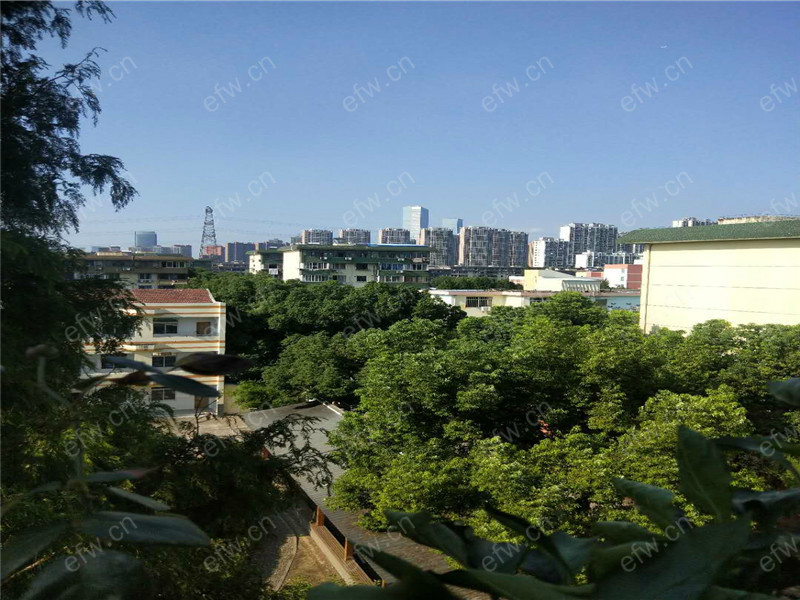 芦庄五区 2房 全明户型 另送家电
