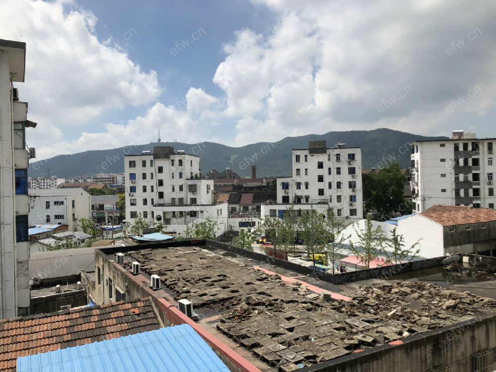 双河新村（双河一村） 1房 全明户型 另送家电