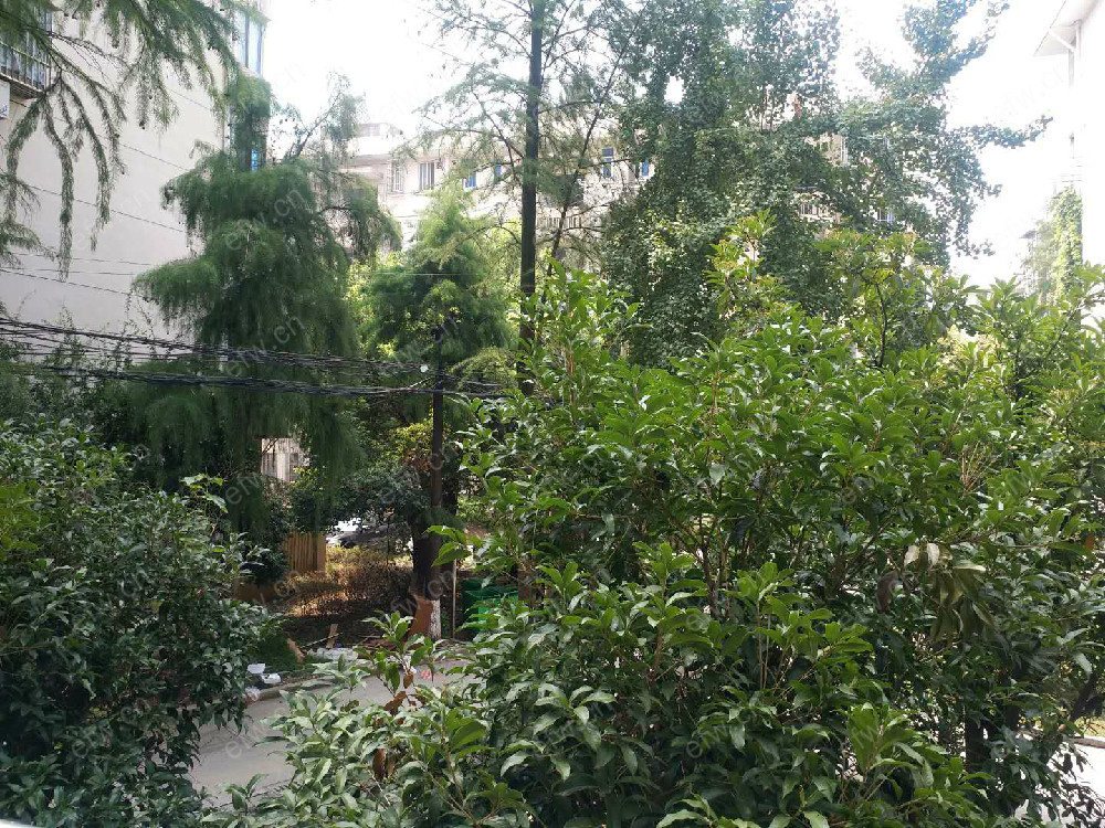 溪南新村 2室1厅