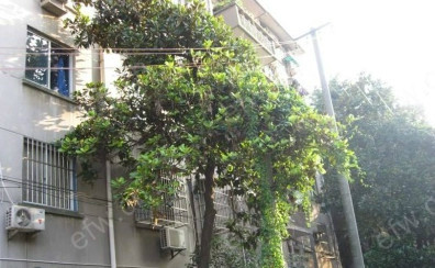 翠园新村(沁芳苑) 2室1厅