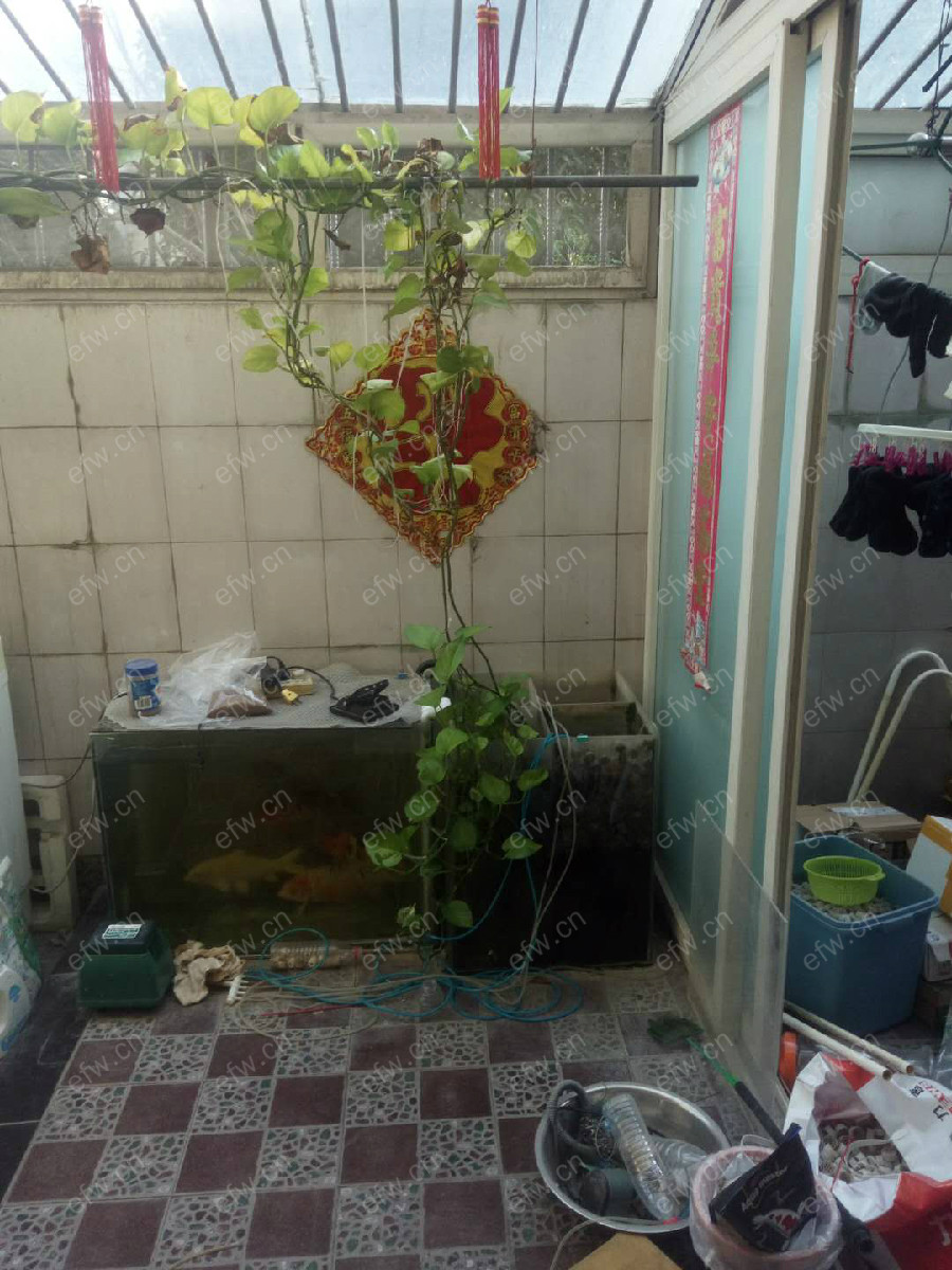轻院小区 2室2厅