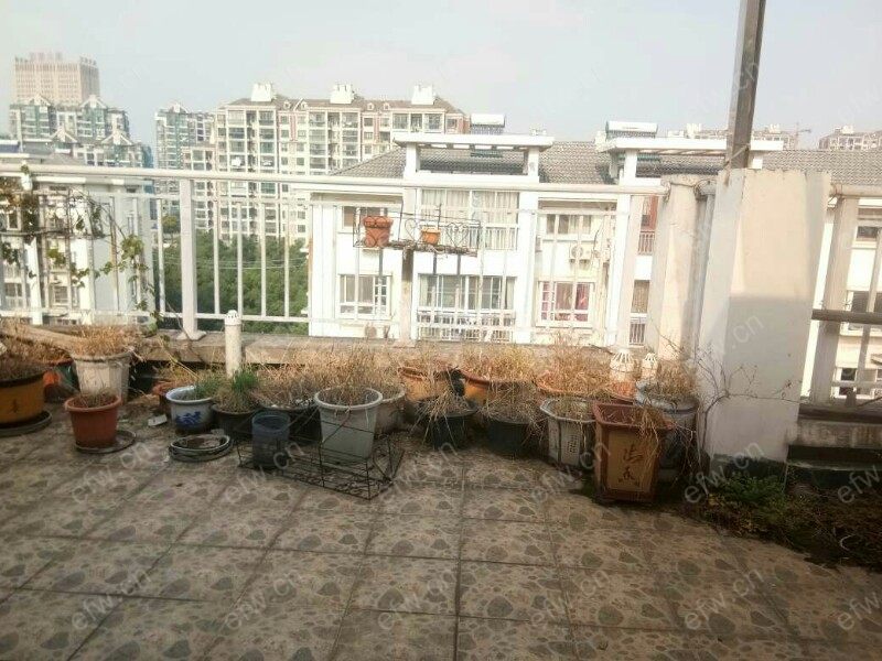 隆泉园 5室2厅，精装，顶复，适合刚需客