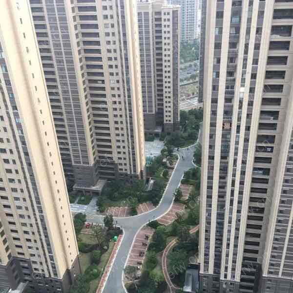 金科（金科财富商业广场）精装3室  随时看房 拎包入住