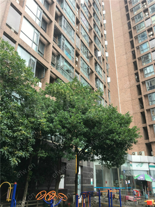 精装单间，拎包入住，价格可商