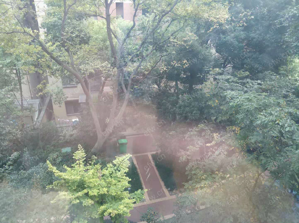 金域缇香一期（金色家园） 3室1厅