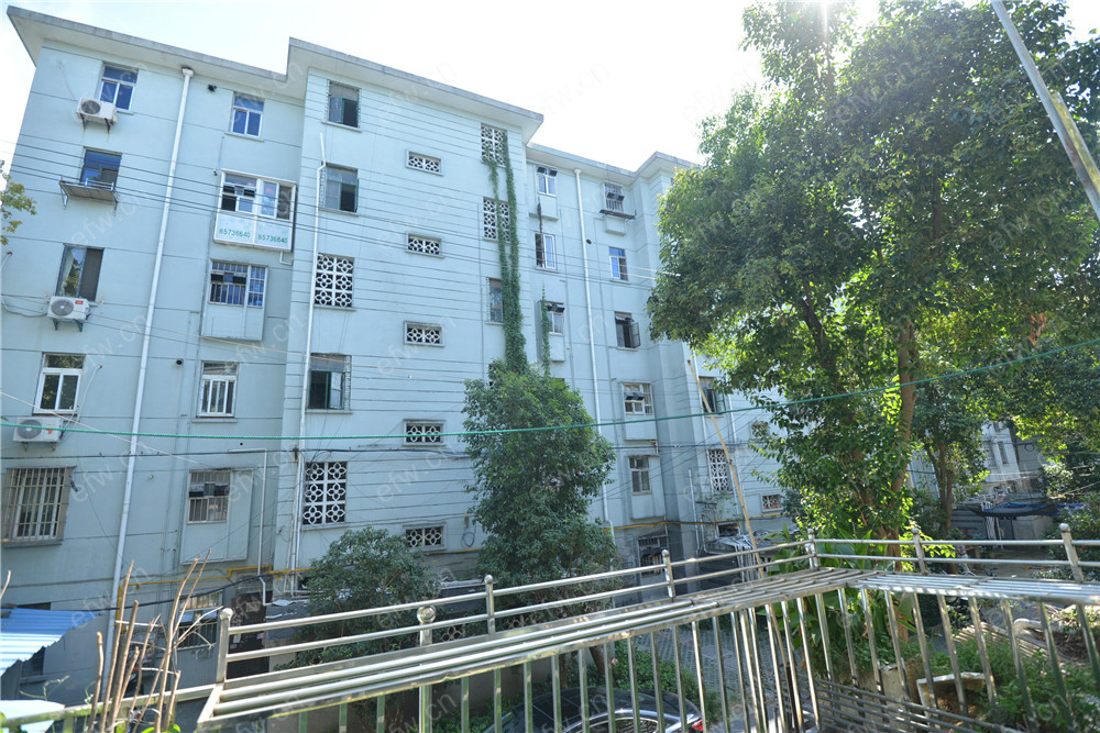 曹张新村   精装修  2室1厅带露台
