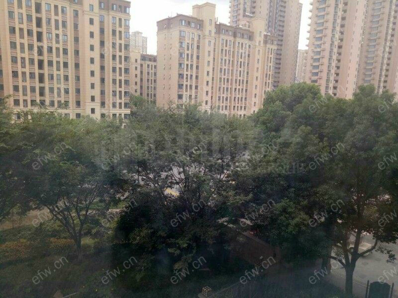 美新玫瑰庄园 4室2厅