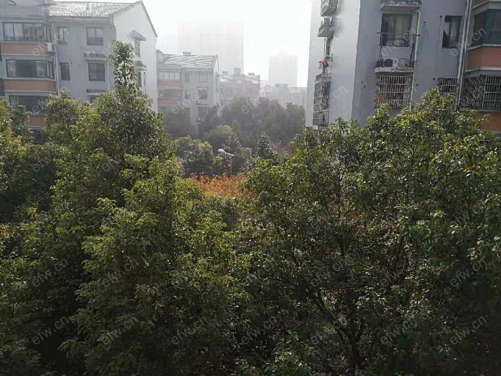 扬名花园    2室2厅     扬名花园12