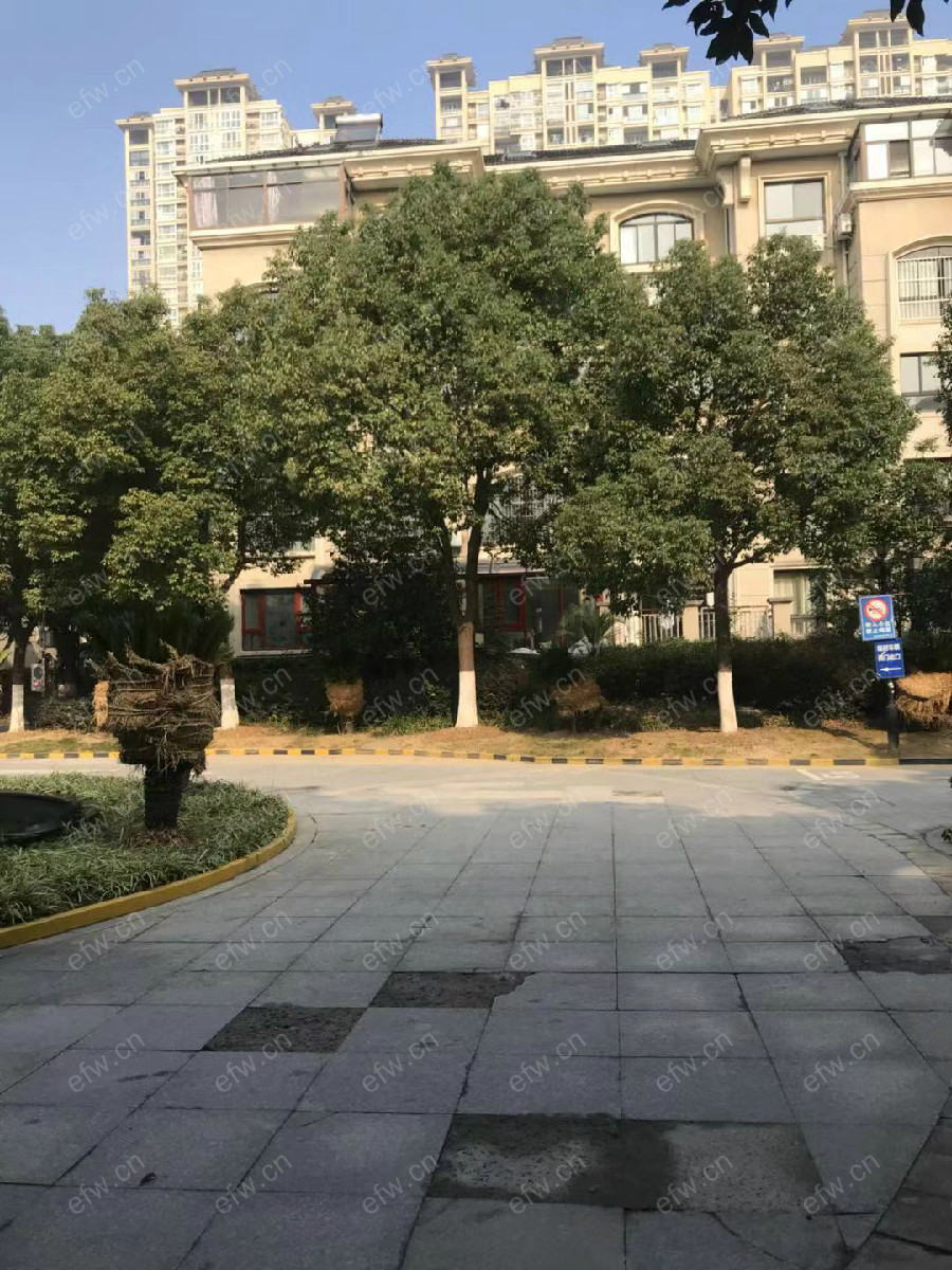 金都花园 3室2厅