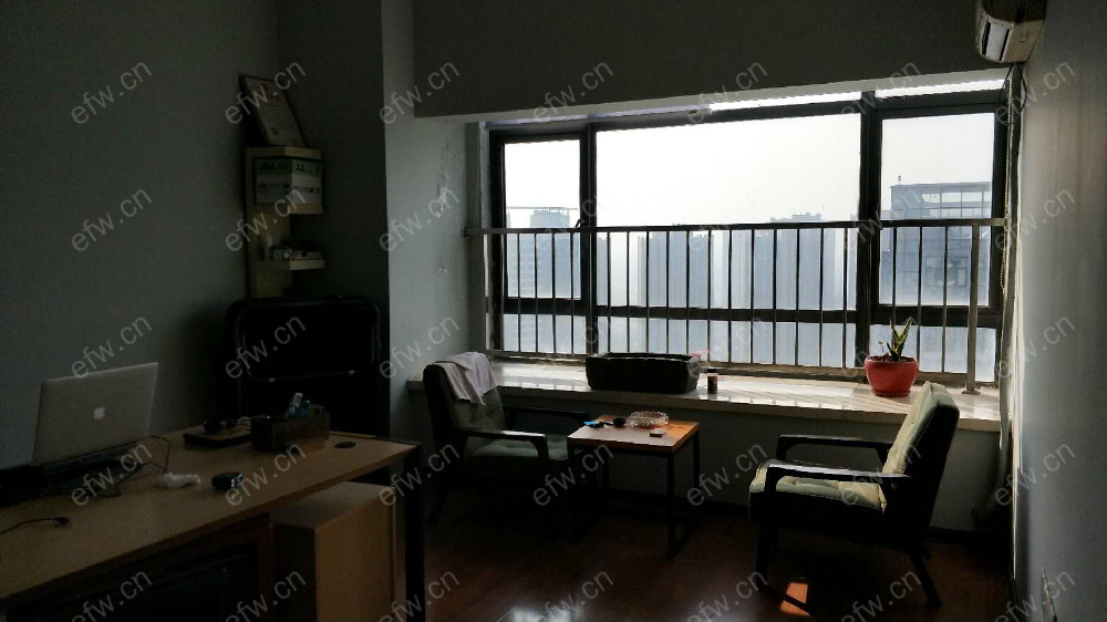 新区天山路 2室1厅