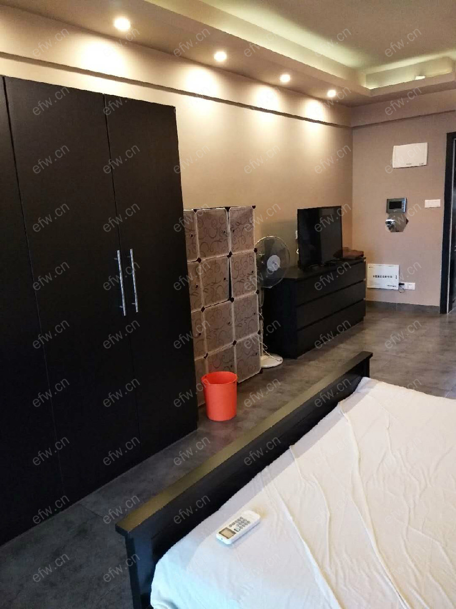绿地世纪城三期 1室1厅