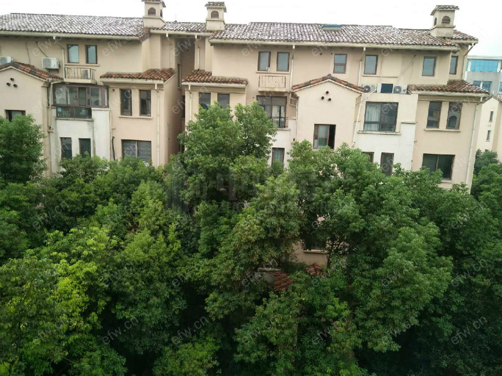 嘉洲花园洋房 3室2厅