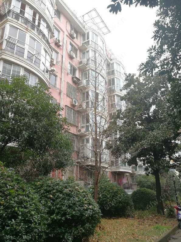 勤学苑（勤学路） 2室1厅