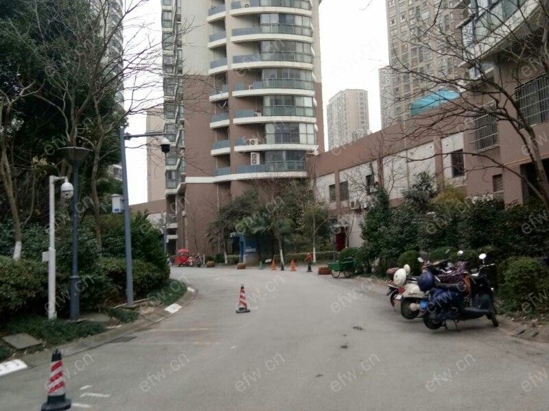长江绿岛三期 1室1厅