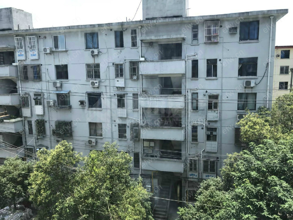 金城新村 2室1厅