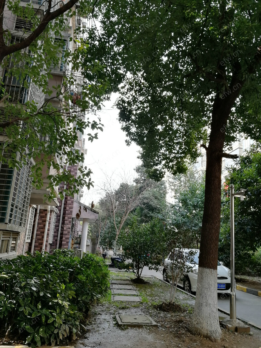 瑞江花园 3室2已经在加装电梯了