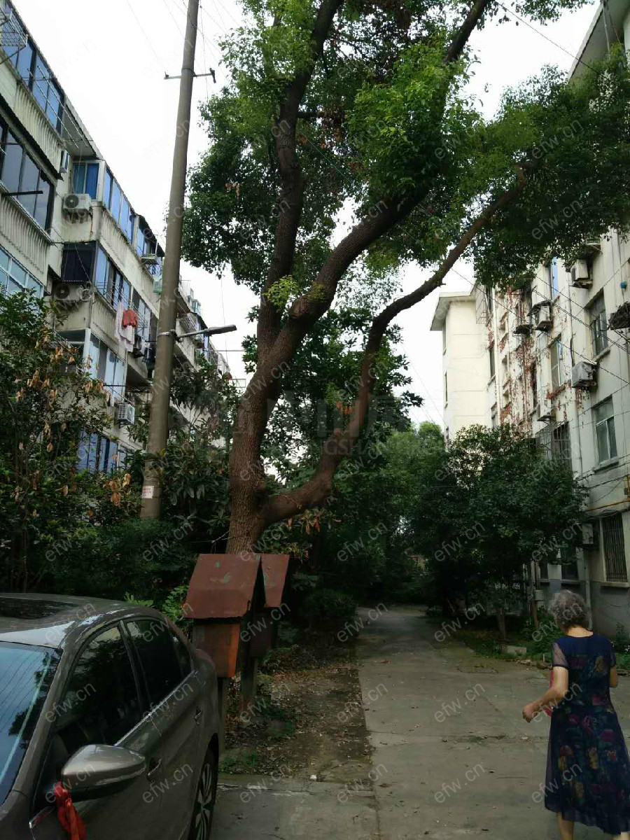江宁家舍（江宁宿舍） 2室1厅