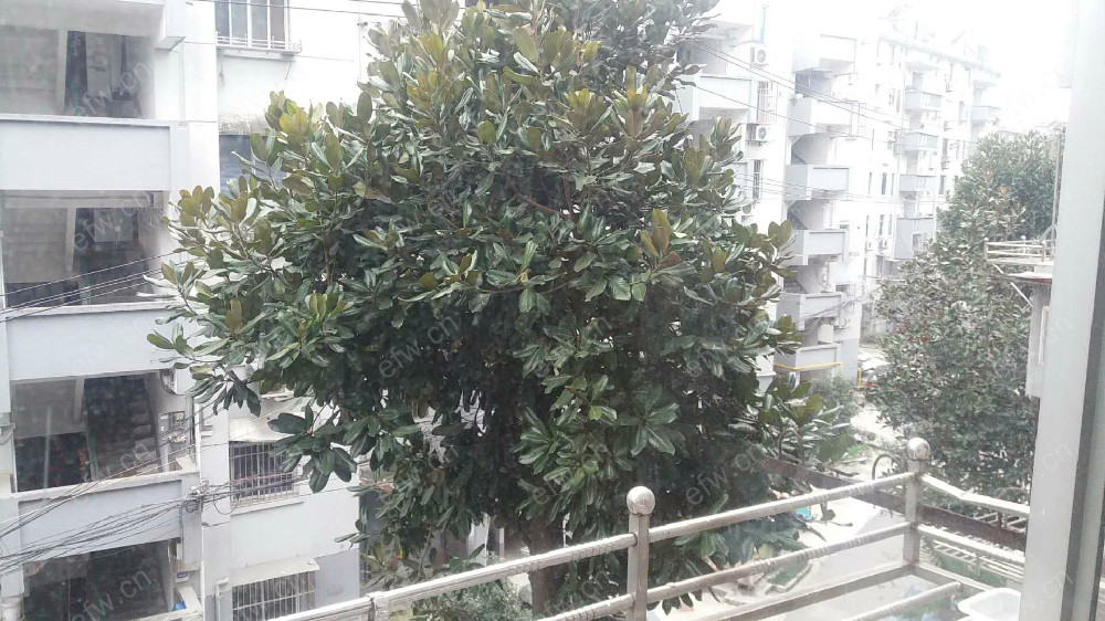 中联新村 1室1厅..........