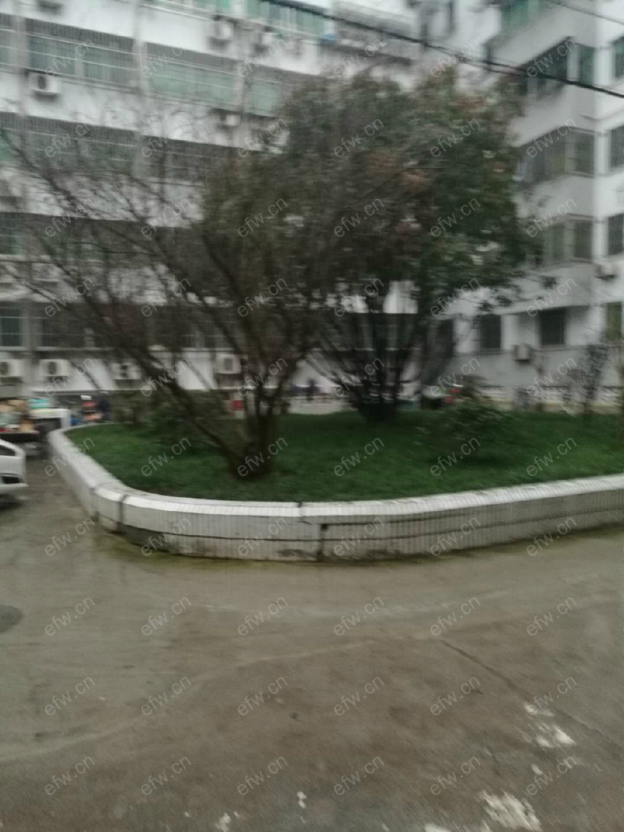 张巷新村 3室2厅