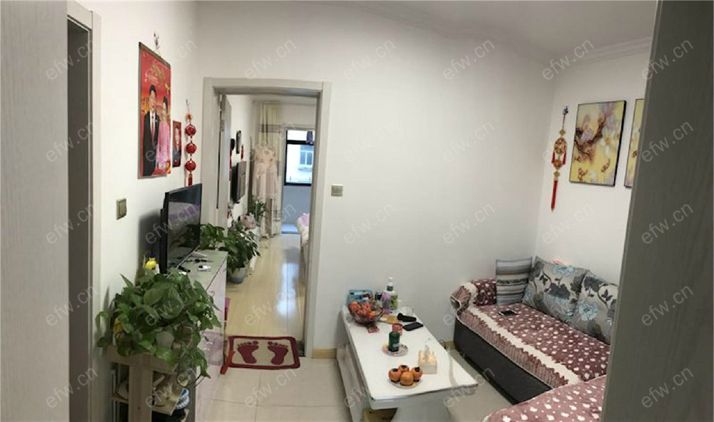 陈家岸 难得一见的精装小户型,总价低,朝向好！