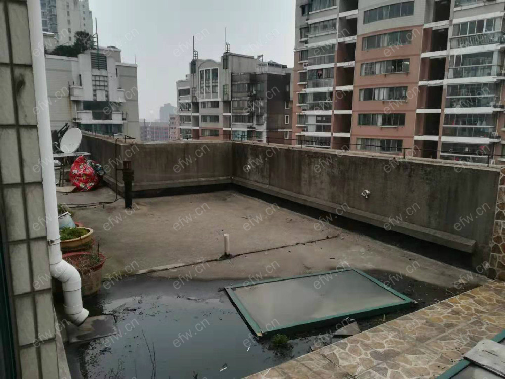 莲蓉苑 两室两厅。。。。