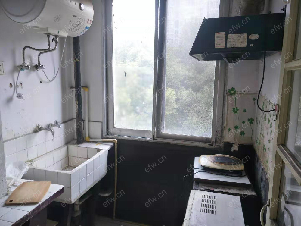 蓓蕾新村   1室1厅