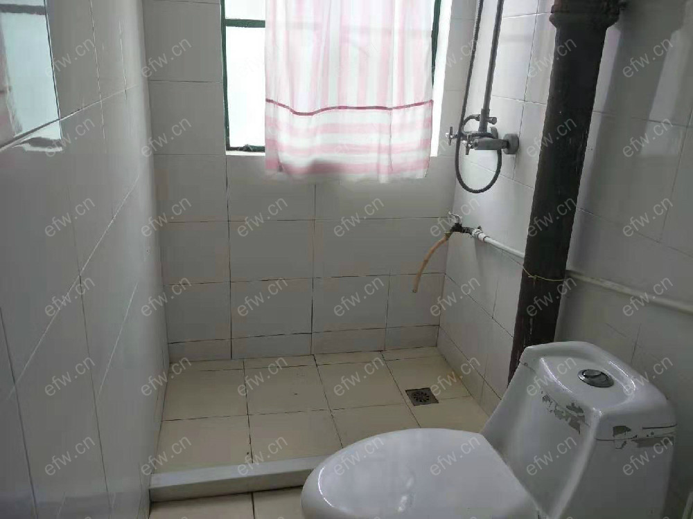 蓓蕾新村   1室1厅