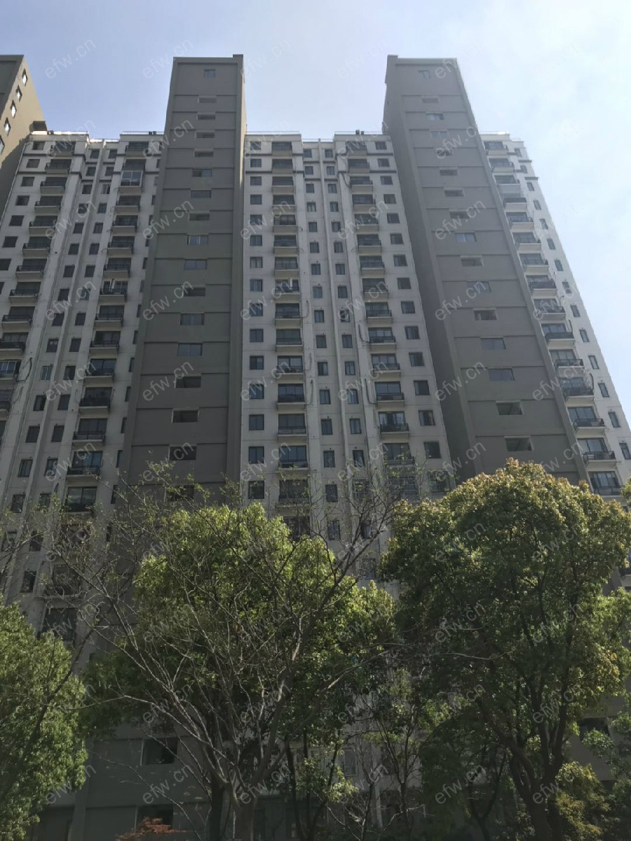 金星苑合租1室的.在租的