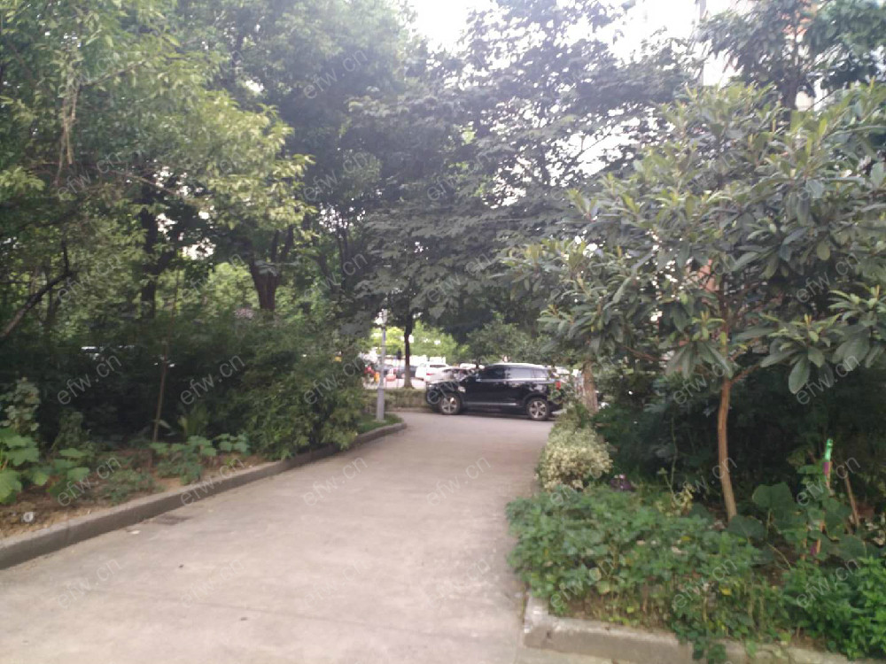 新乐苑小区 2室1厅