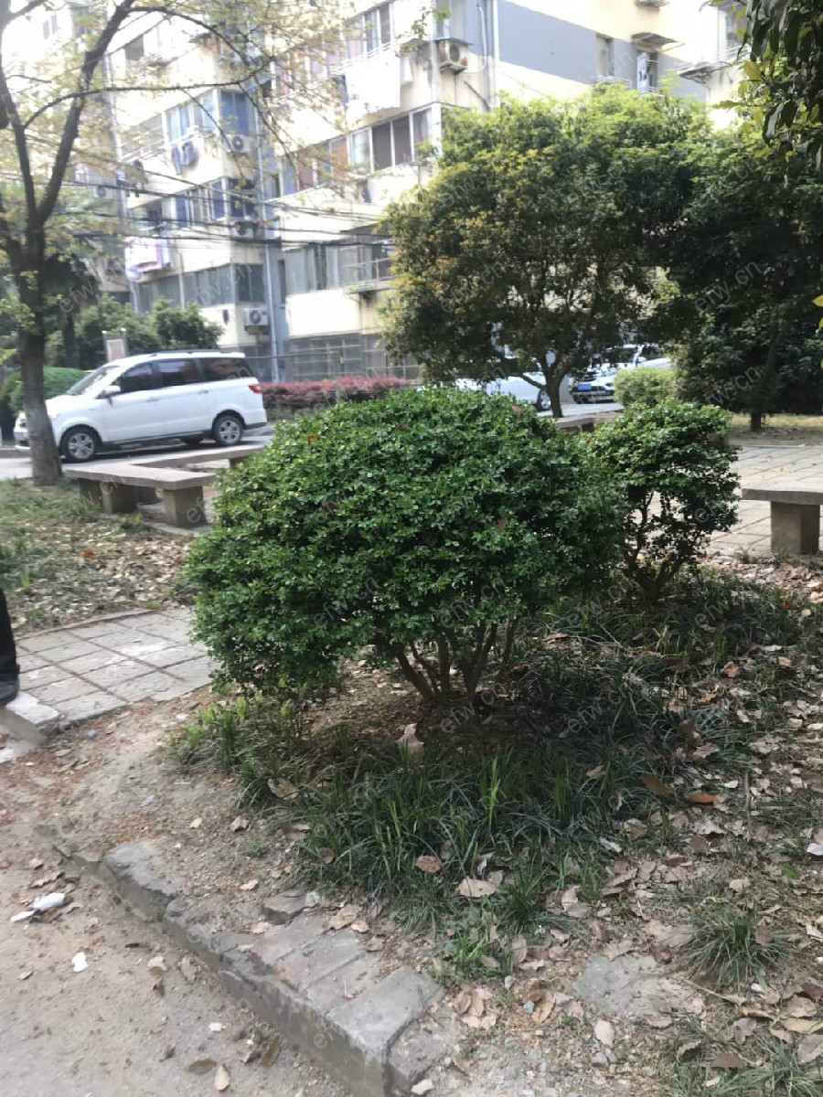 叙康里 2室1厅