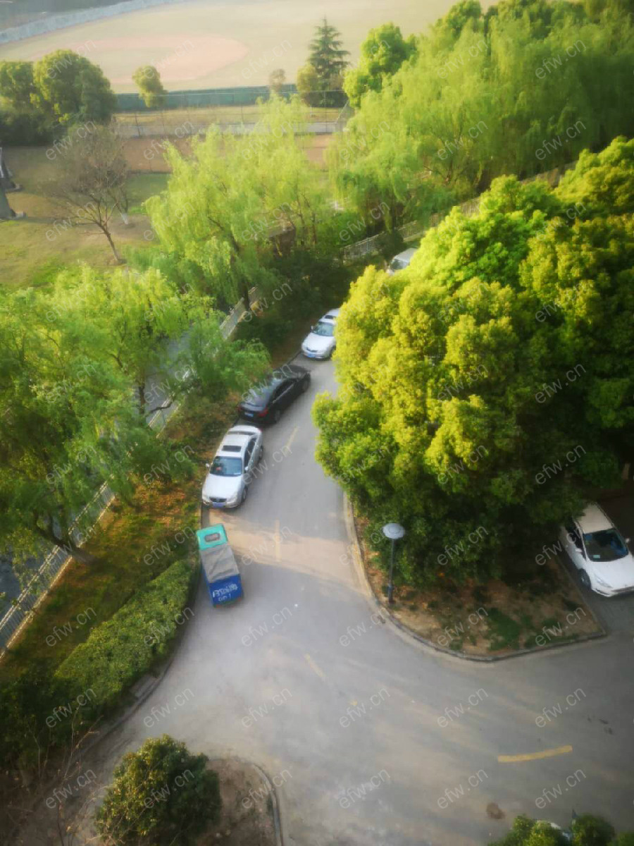 新洲人家 3室2厅
