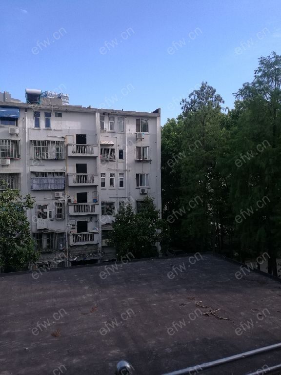 清扬新村 1室1厅1卫