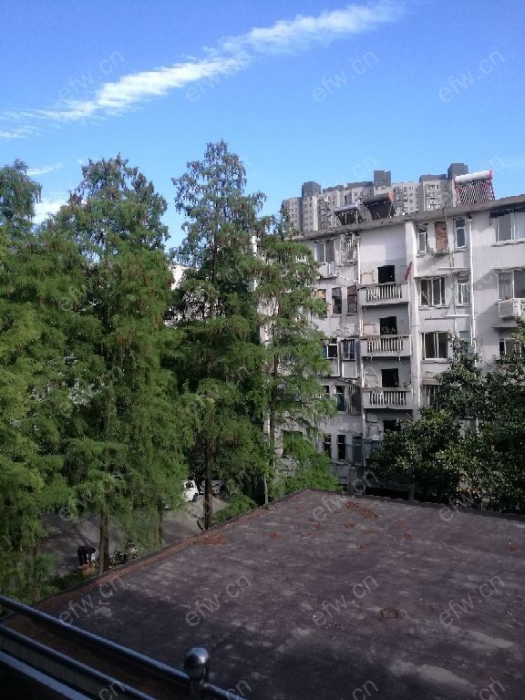 清扬新村 1室1厅1卫
