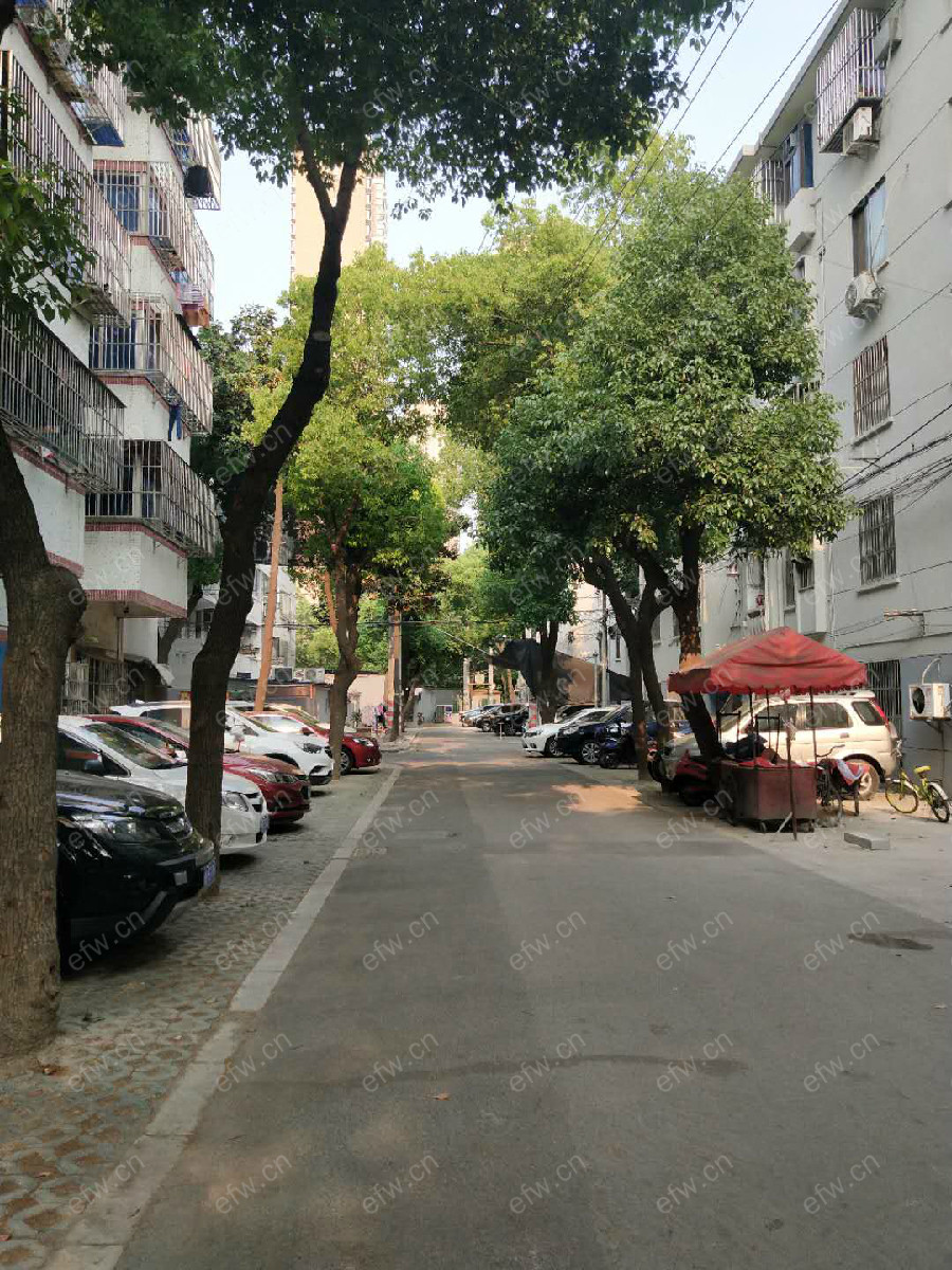 中桥三村 1室1厅